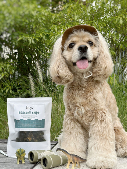 broccoli chips (50g)