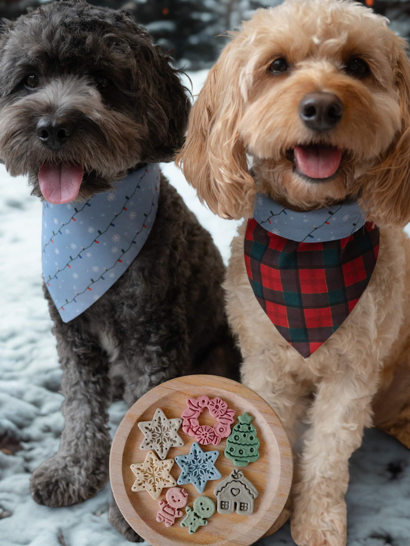 for goodness flake bundle | christmas special