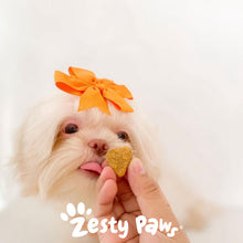 Load image into Gallery viewer, zesty paws aller-immune bites

