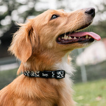 Load image into Gallery viewer, udderly amoosing collar
